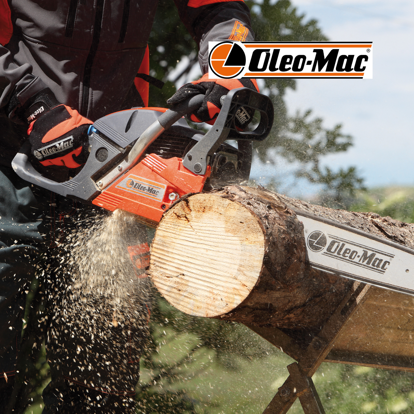 oleomac outdoor power equipment chainsaws