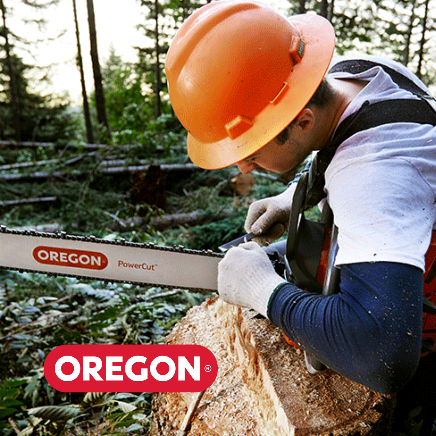 oregon chainsaw bars saw chain and chainsaw accessories
