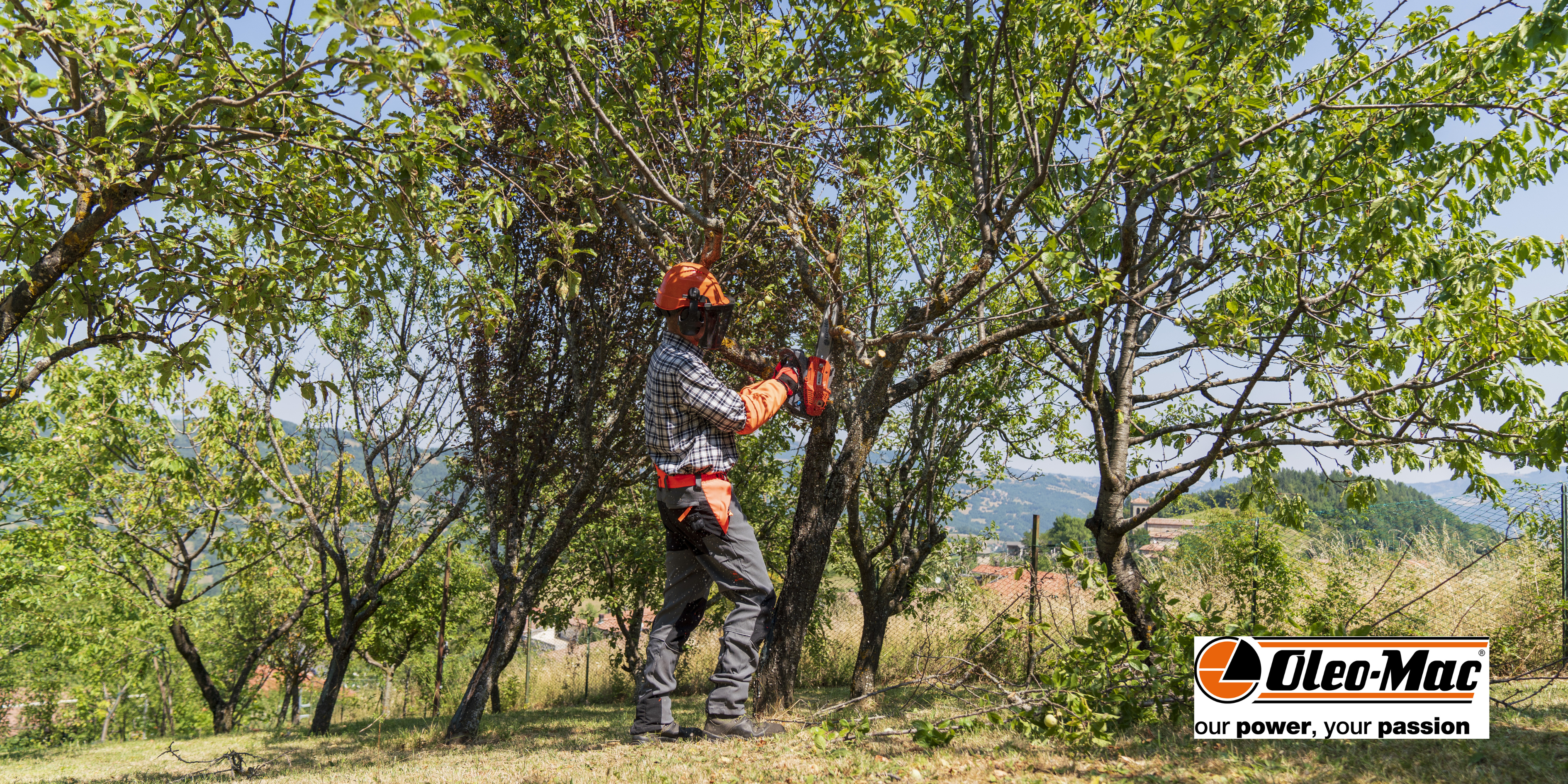 gsth 240 pruning banner